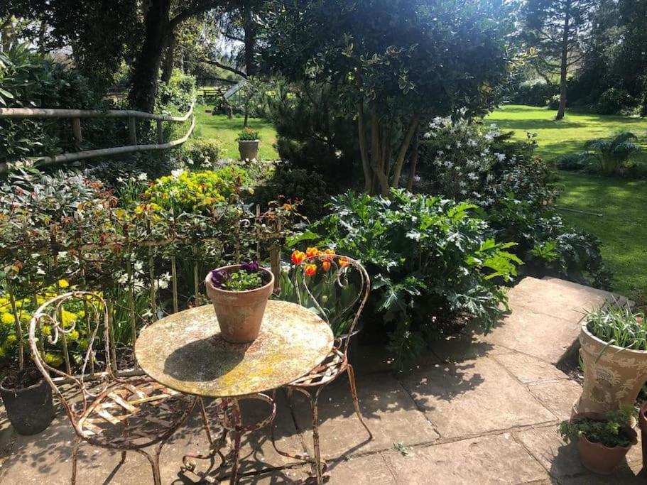 Escape To Ash House 18Th Century Manor In Somerset 마톡 외부 사진