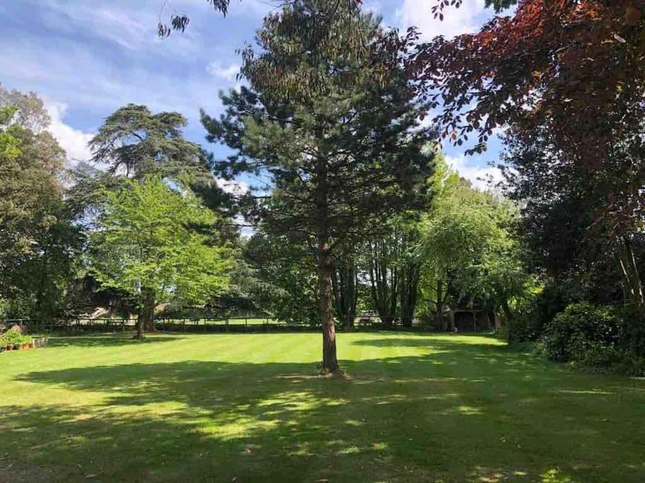 Escape To Ash House 18Th Century Manor In Somerset 마톡 외부 사진