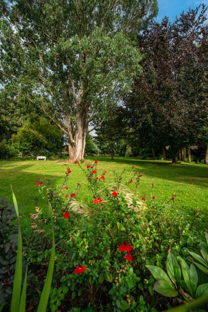 Escape To Ash House 18Th Century Manor In Somerset 마톡 외부 사진